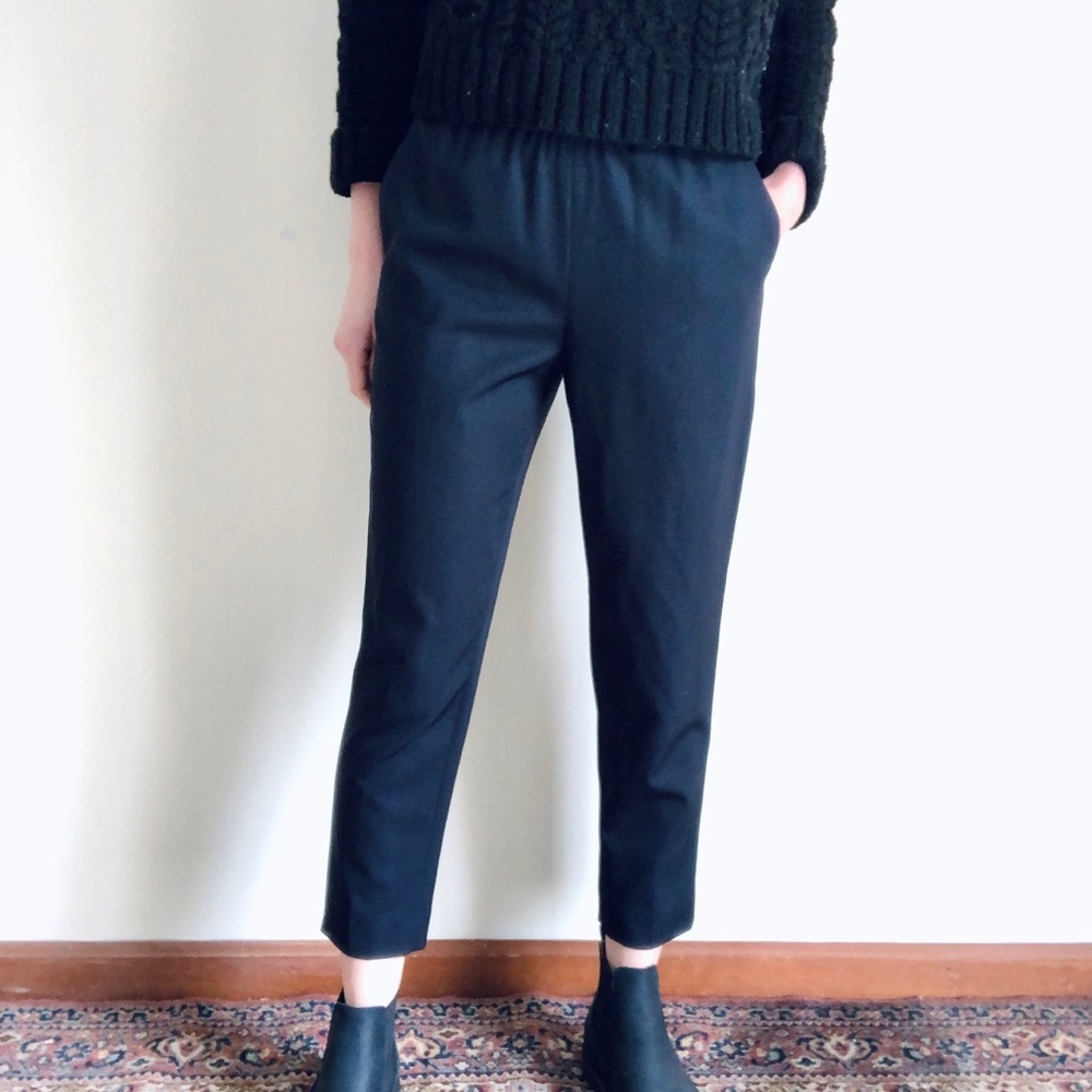 Everlane Italian Go Weave Easy Pant